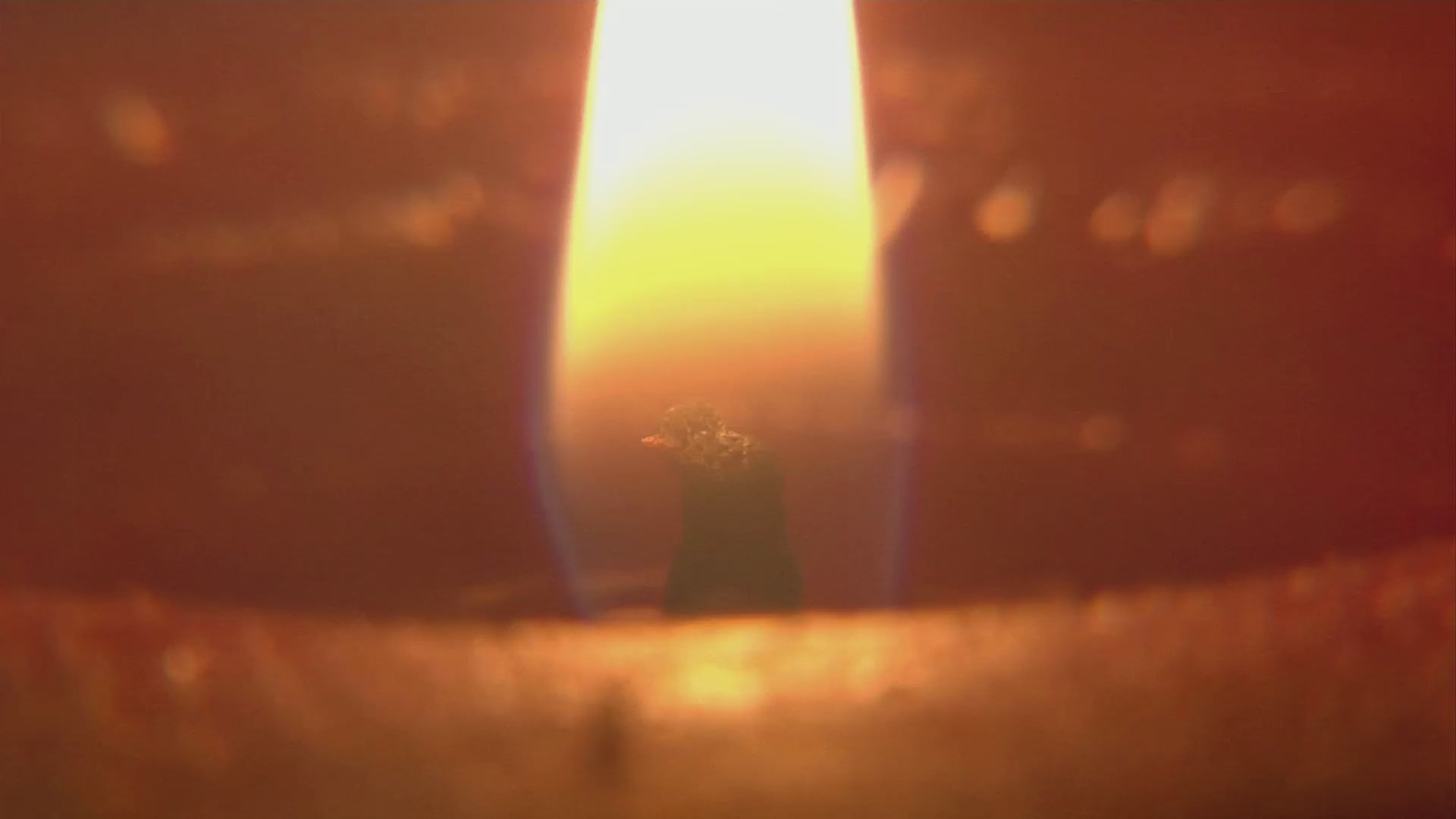 Load video: The Heart Warming Story of Copper Beech Candles